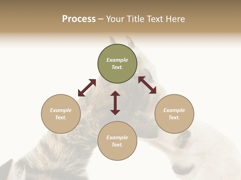 Cat Tenderness Love PowerPoint Template