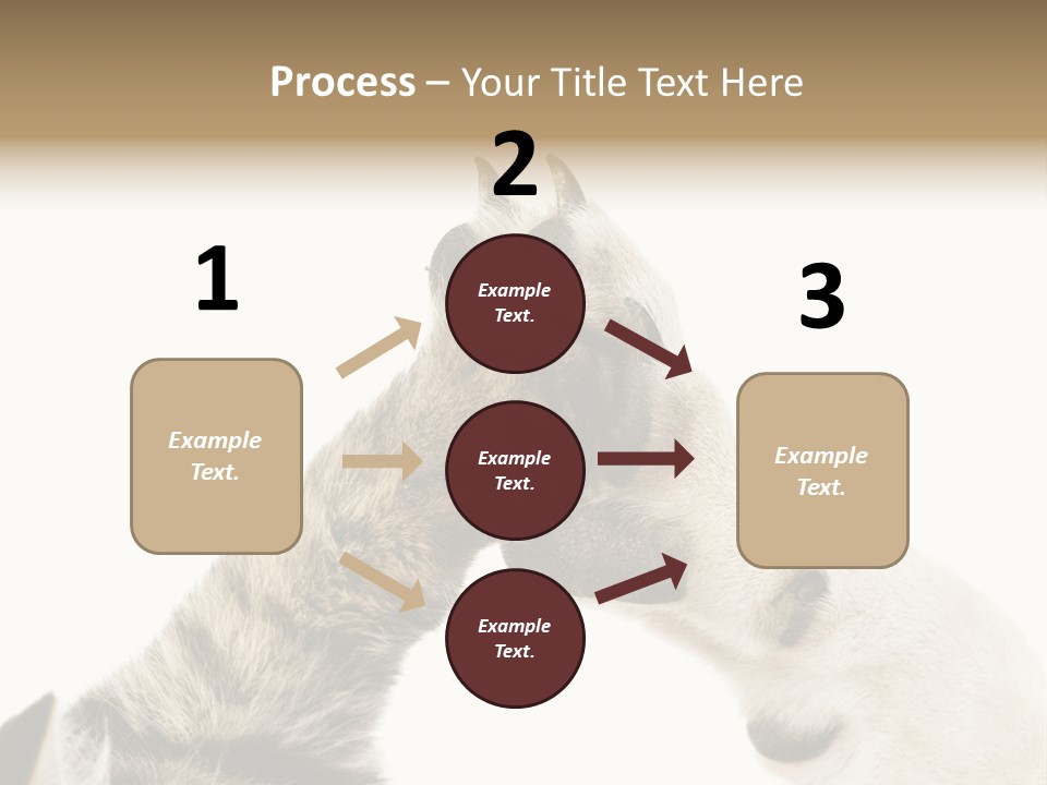 Cat Tenderness Love PowerPoint Template