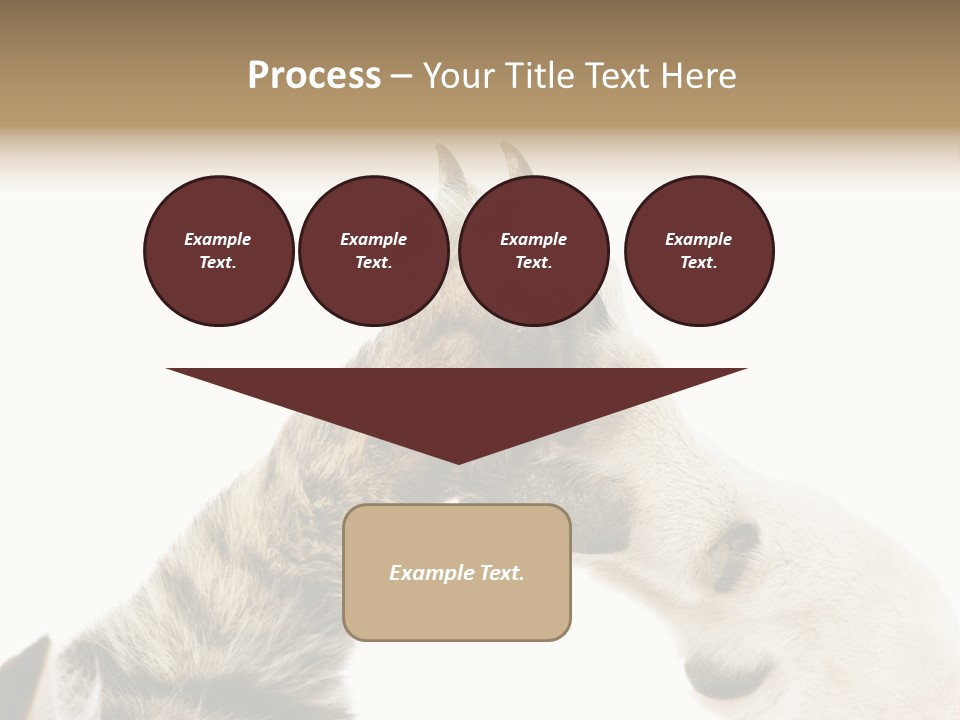 Cat Tenderness Love PowerPoint Template