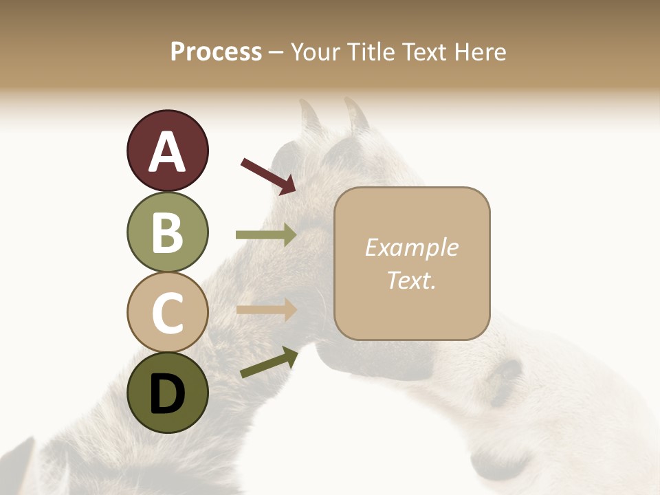 Cat Tenderness Love PowerPoint Template