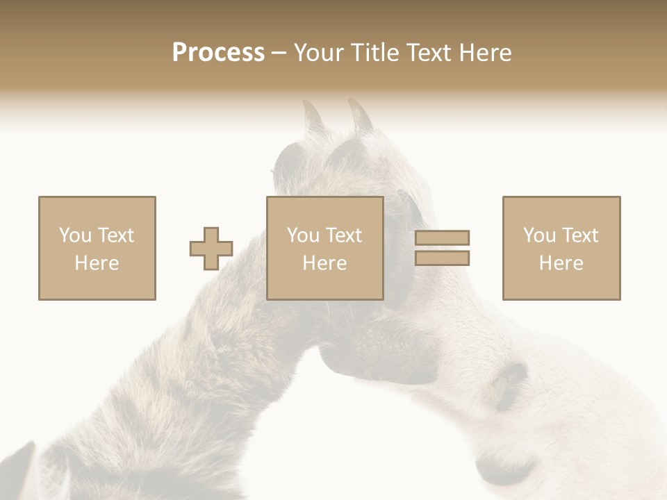 Cat Tenderness Love PowerPoint Template