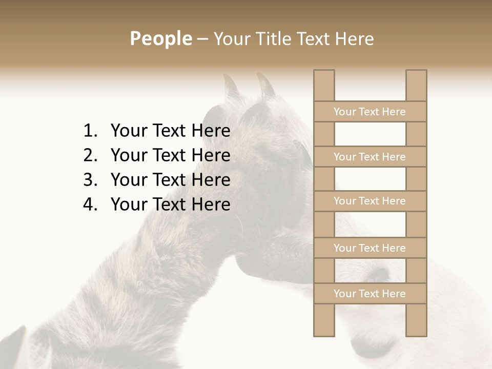 Cat Tenderness Love PowerPoint Template