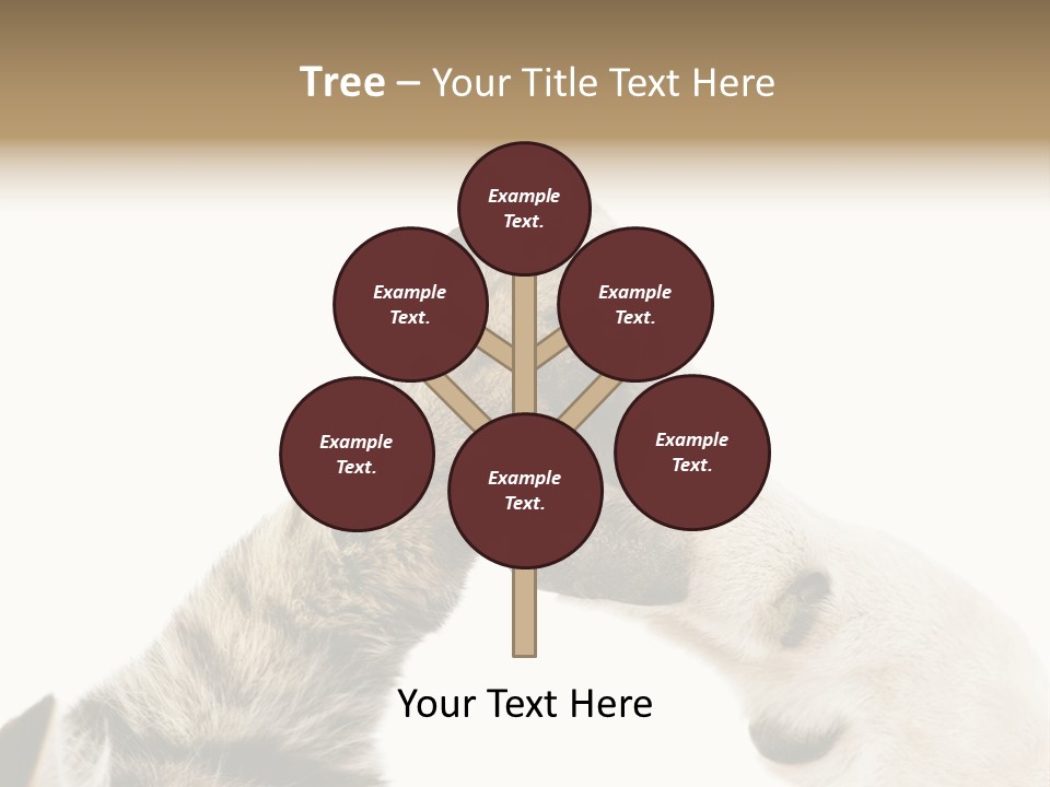 Cat Tenderness Love PowerPoint Template