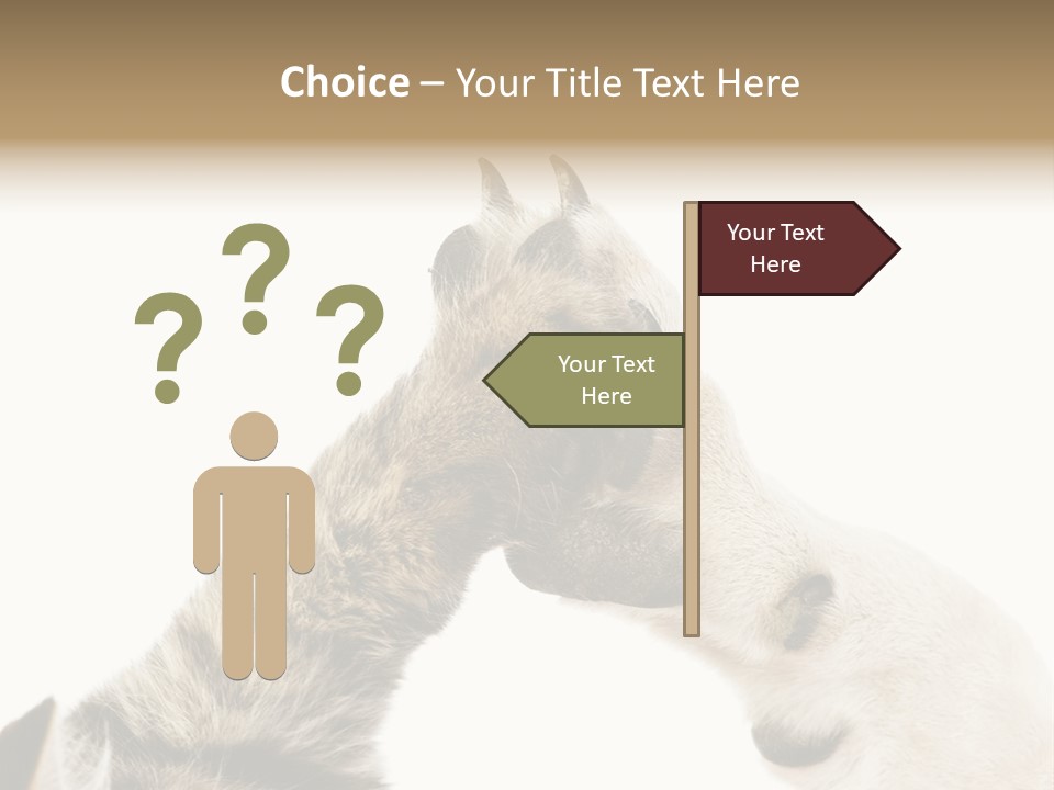 Cat Tenderness Love PowerPoint Template