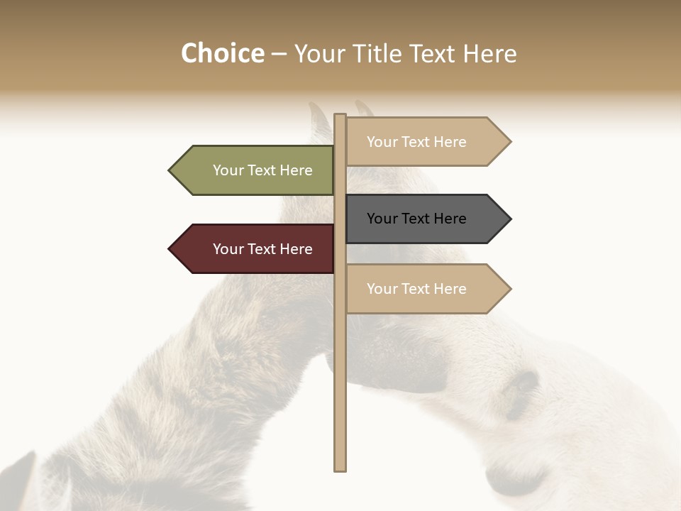 Cat Tenderness Love PowerPoint Template