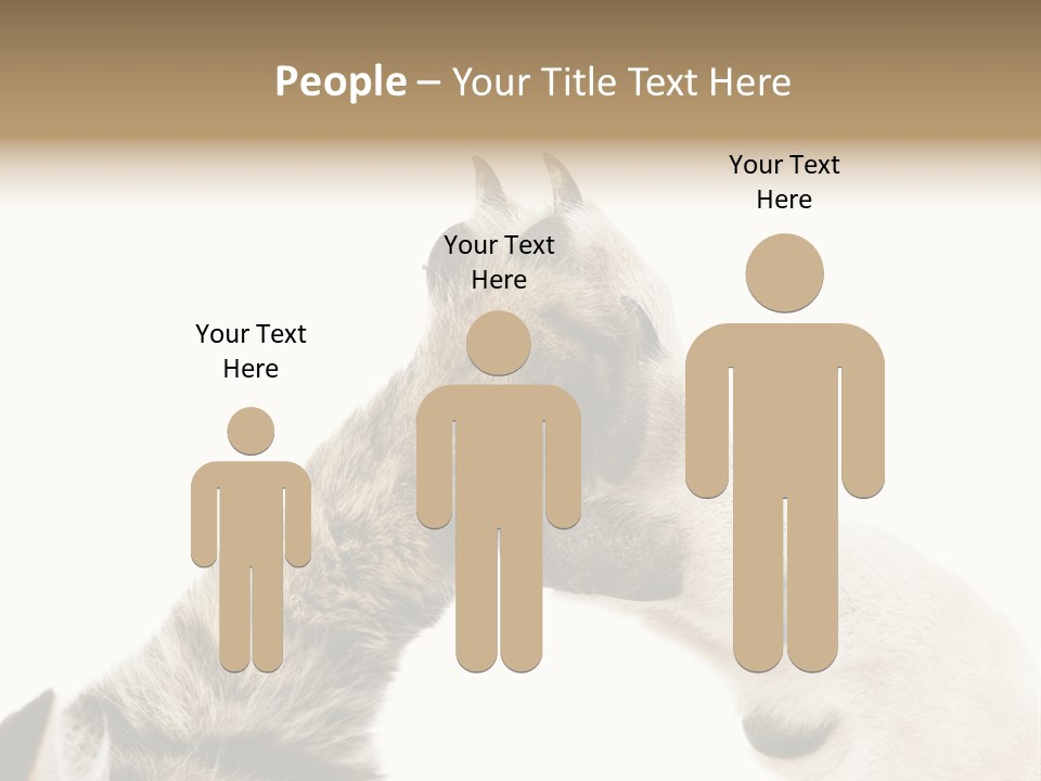 Cat Tenderness Love PowerPoint Template