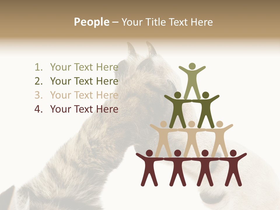 Cat Tenderness Love PowerPoint Template