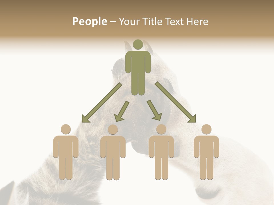 Cat Tenderness Love PowerPoint Template