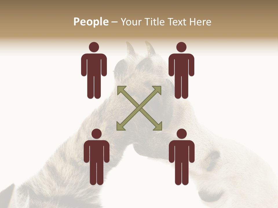 Cat Tenderness Love PowerPoint Template