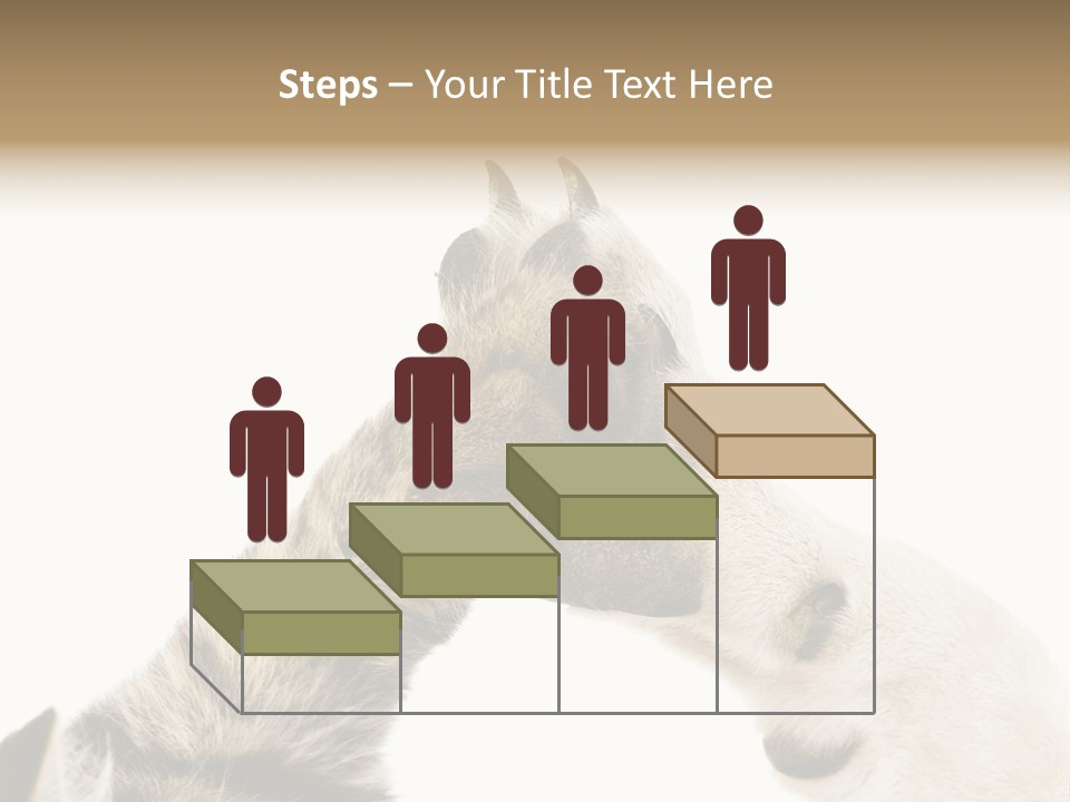 Cat Tenderness Love PowerPoint Template