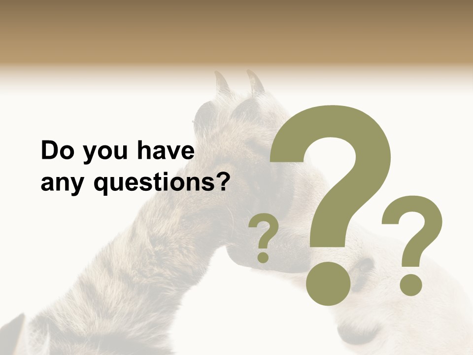 Cat Tenderness Love PowerPoint Template