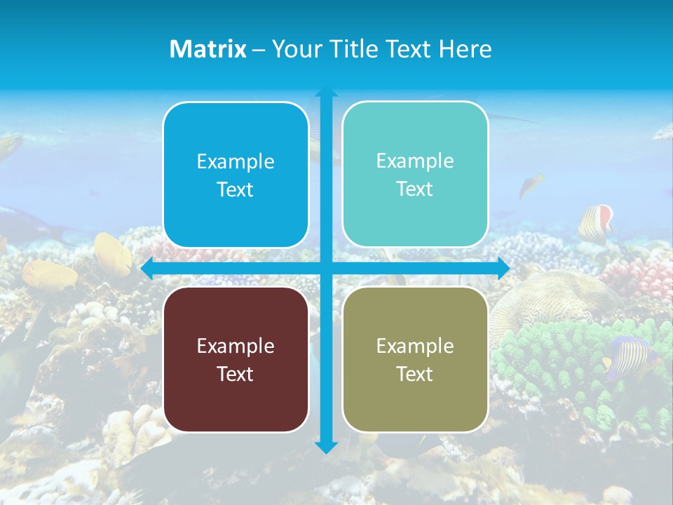 Sharm Live Close Up PowerPoint Template