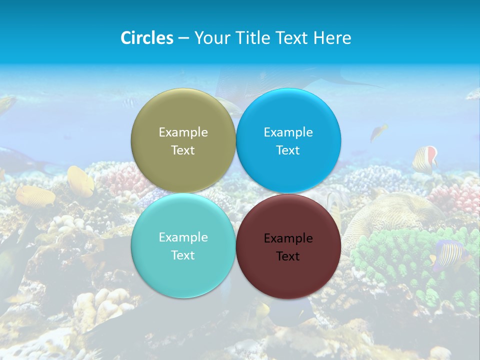 Sharm Live Close Up PowerPoint Template