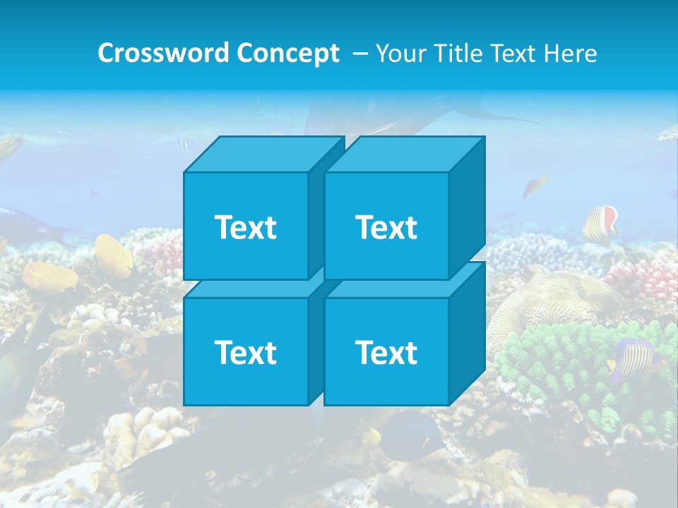 Sharm Live Close Up PowerPoint Template