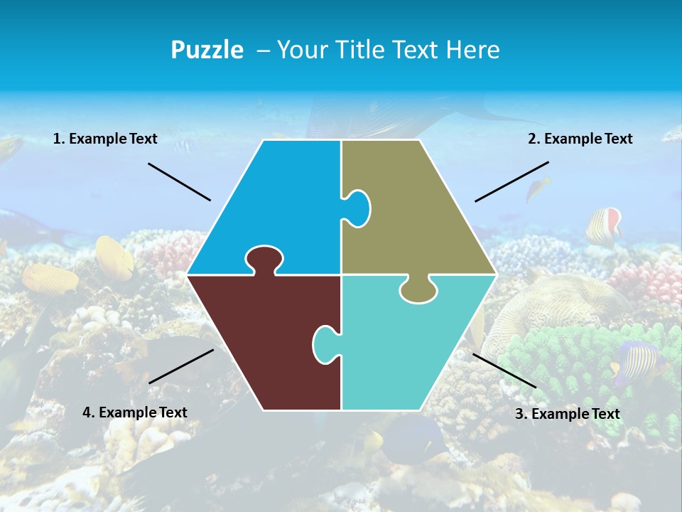 Sharm Live Close Up PowerPoint Template