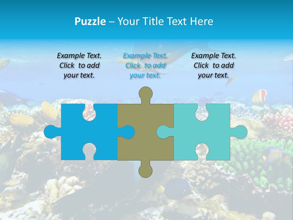 Sharm Live Close Up PowerPoint Template