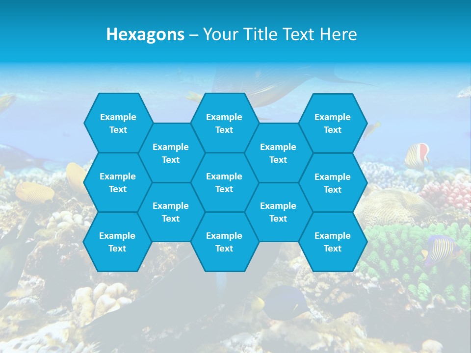 Sharm Live Close Up PowerPoint Template