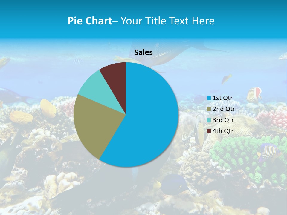 Sharm Live Close Up PowerPoint Template