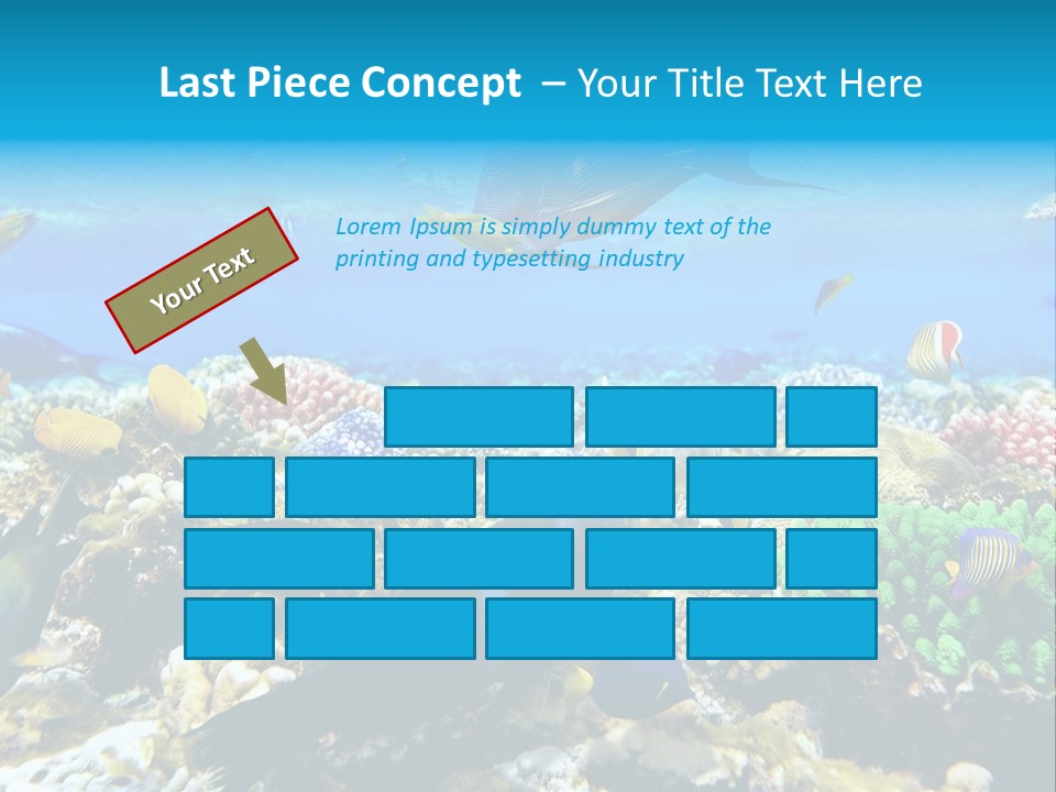 Sharm Live Close Up PowerPoint Template