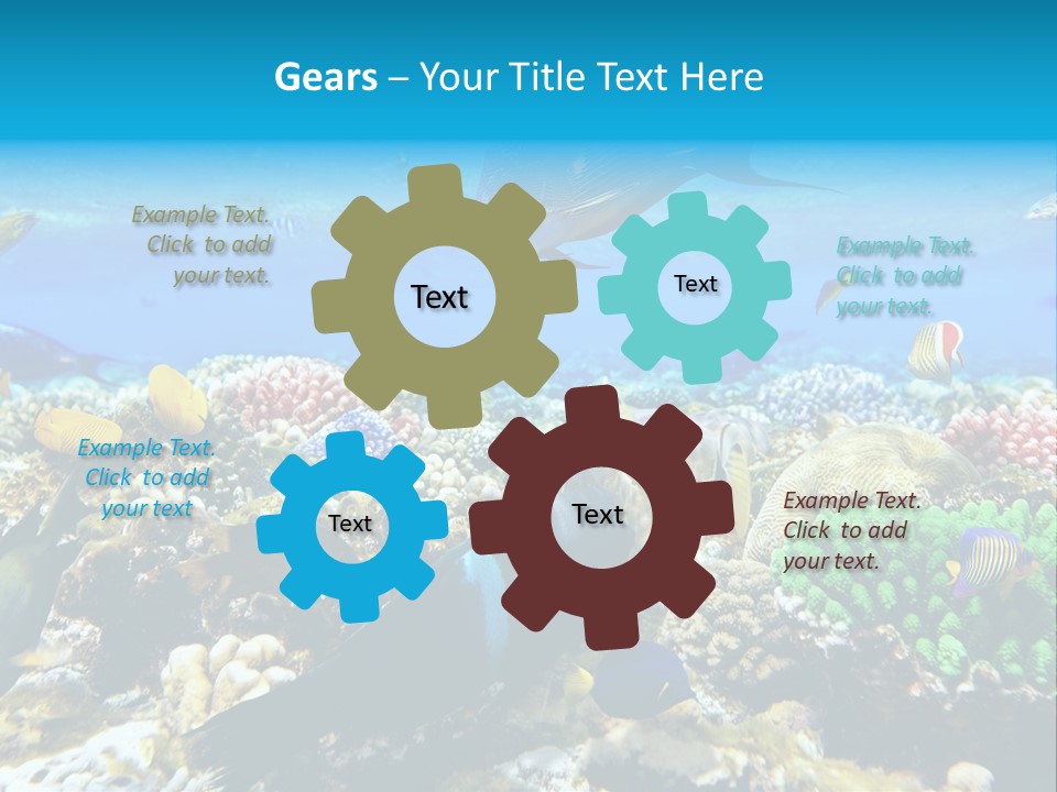 Sharm Live Close Up PowerPoint Template