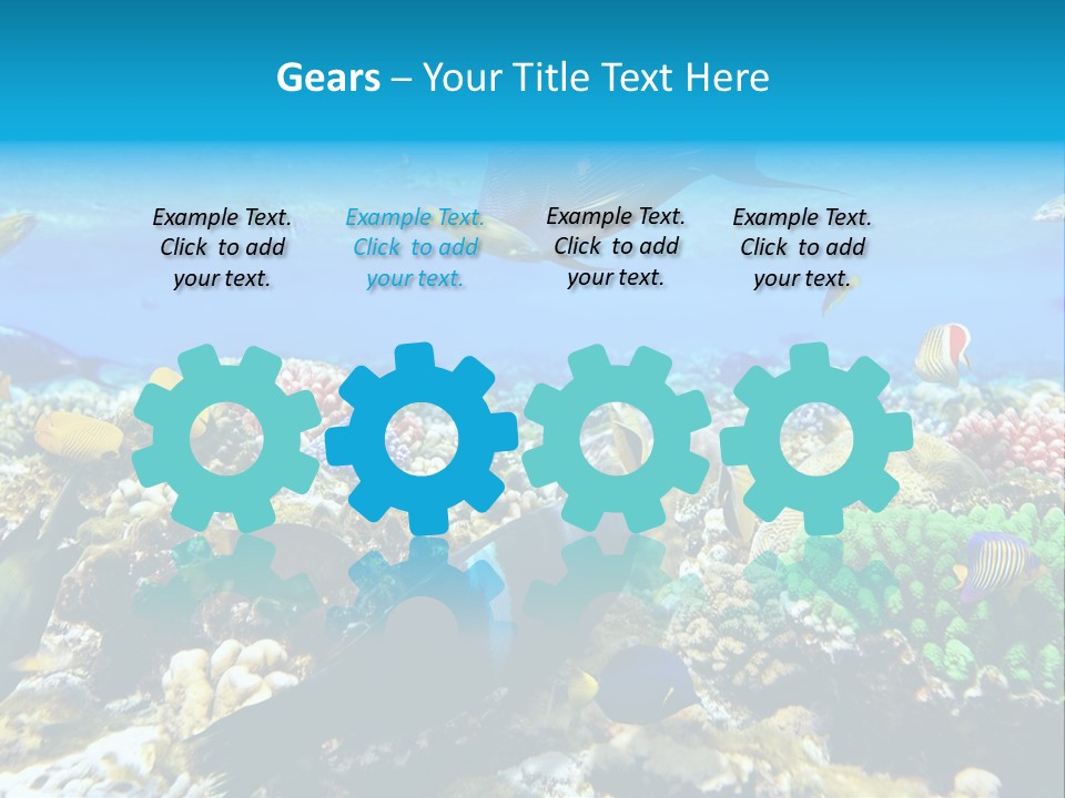 Sharm Live Close Up PowerPoint Template