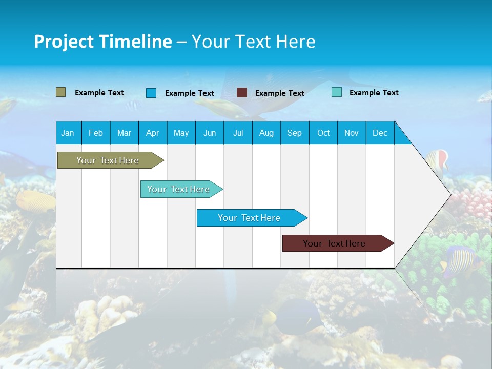 Sharm Live Close Up PowerPoint Template