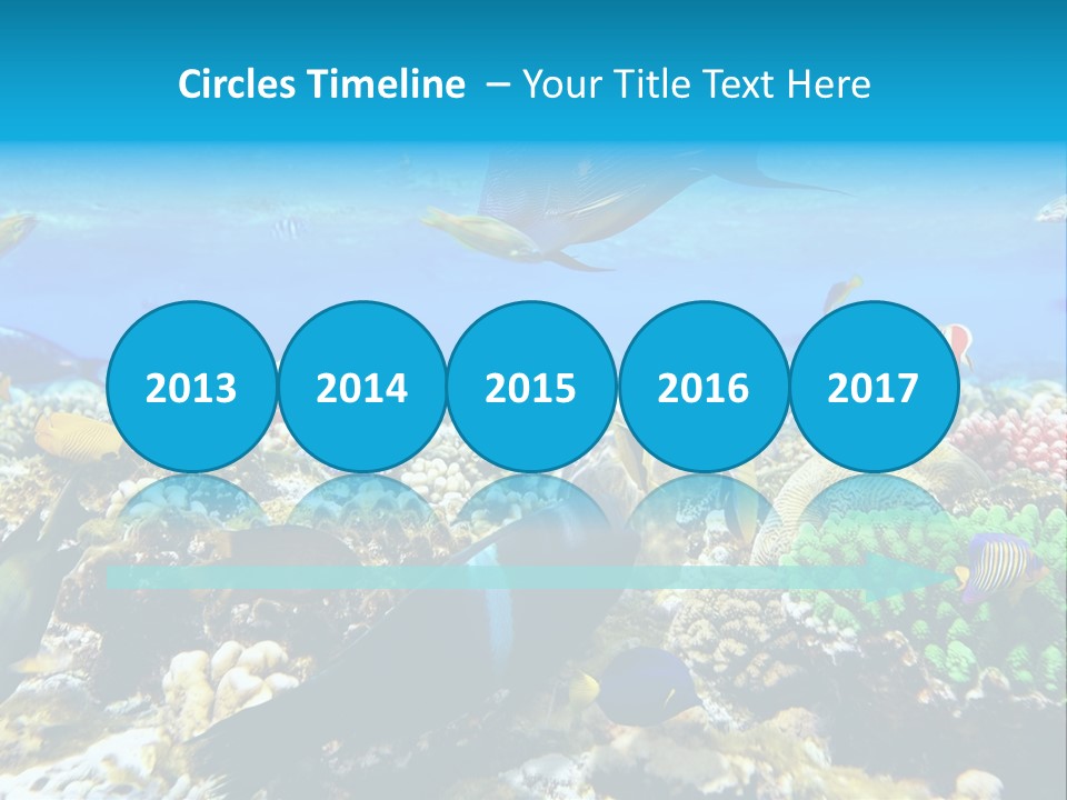 Sharm Live Close Up PowerPoint Template