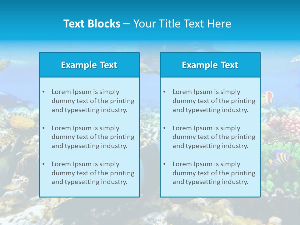 Sharm Live Close Up PowerPoint Template