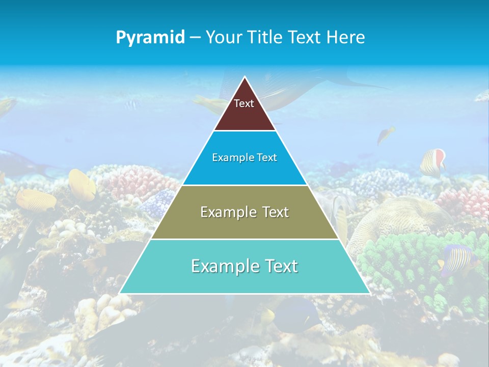 Sharm Live Close Up PowerPoint Template