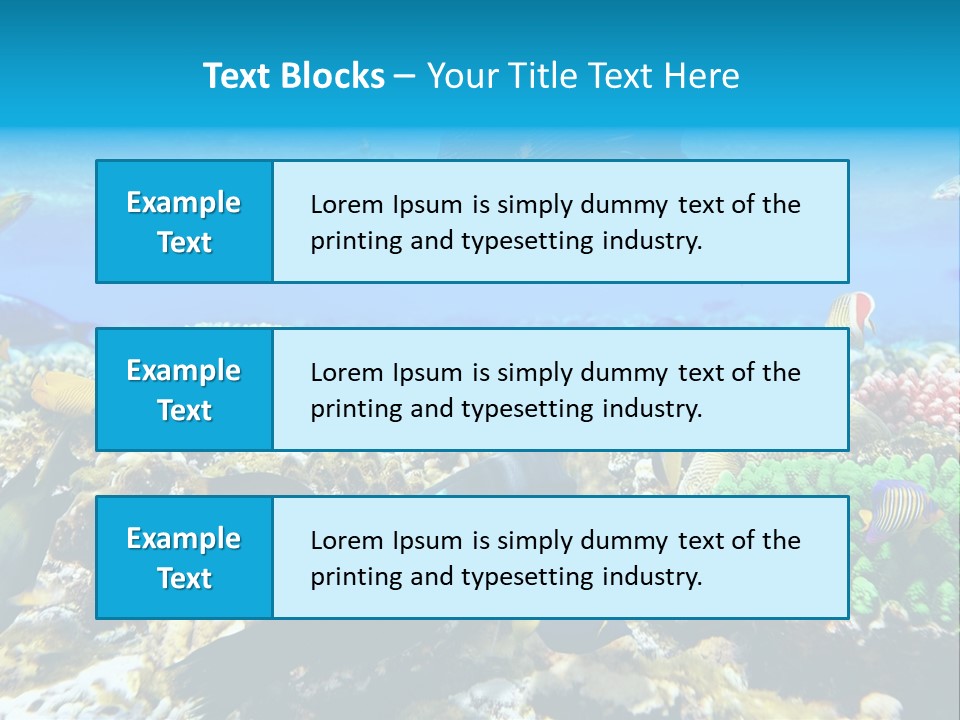 Sharm Live Close Up PowerPoint Template