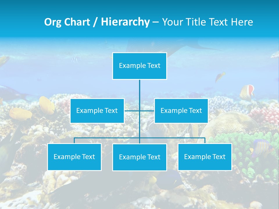 Sharm Live Close Up PowerPoint Template