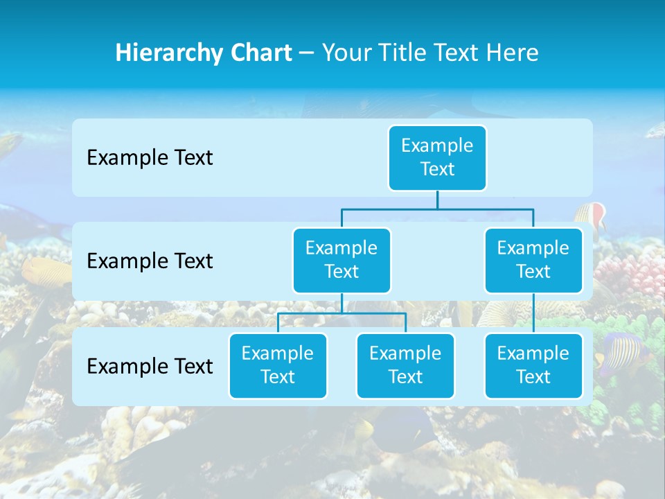 Sharm Live Close Up PowerPoint Template