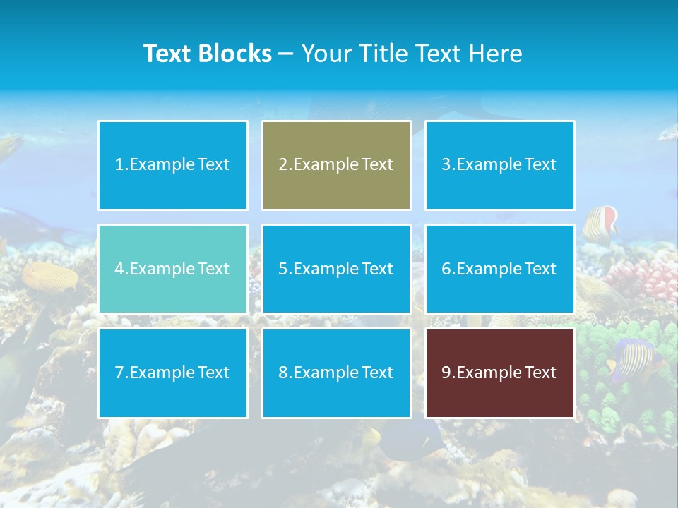 Sharm Live Close Up PowerPoint Template