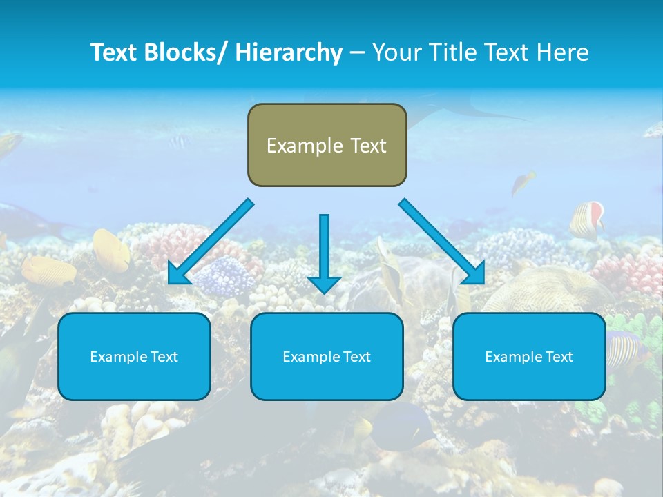 Sharm Live Close Up PowerPoint Template