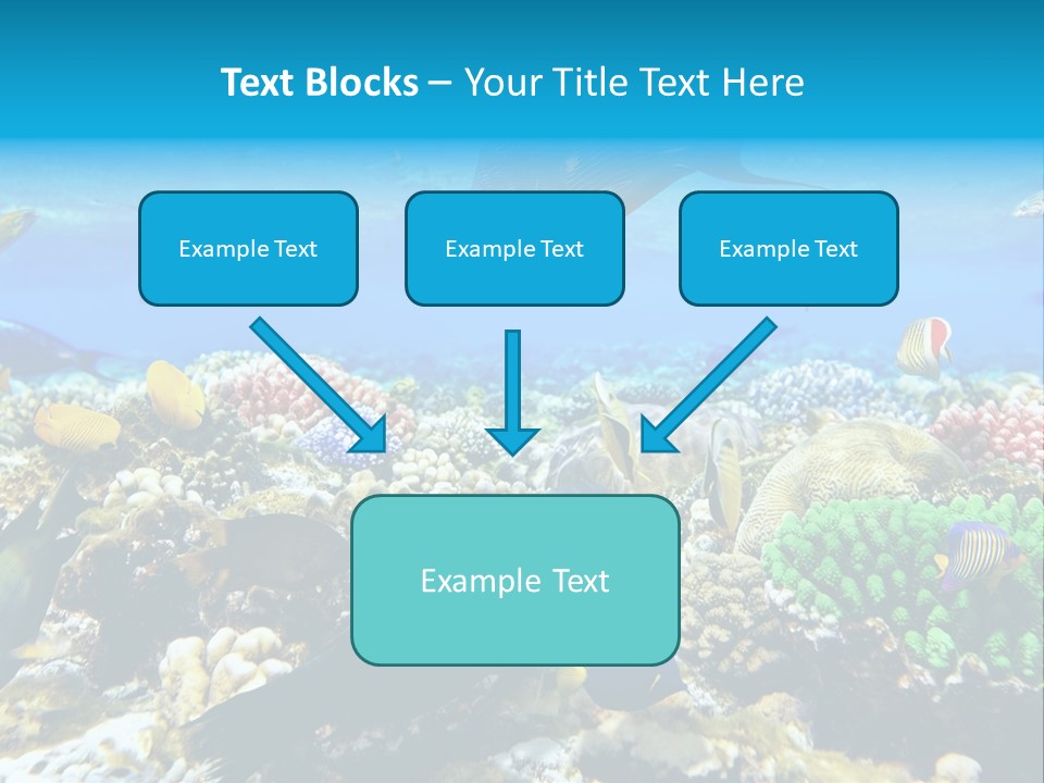 Sharm Live Close Up PowerPoint Template