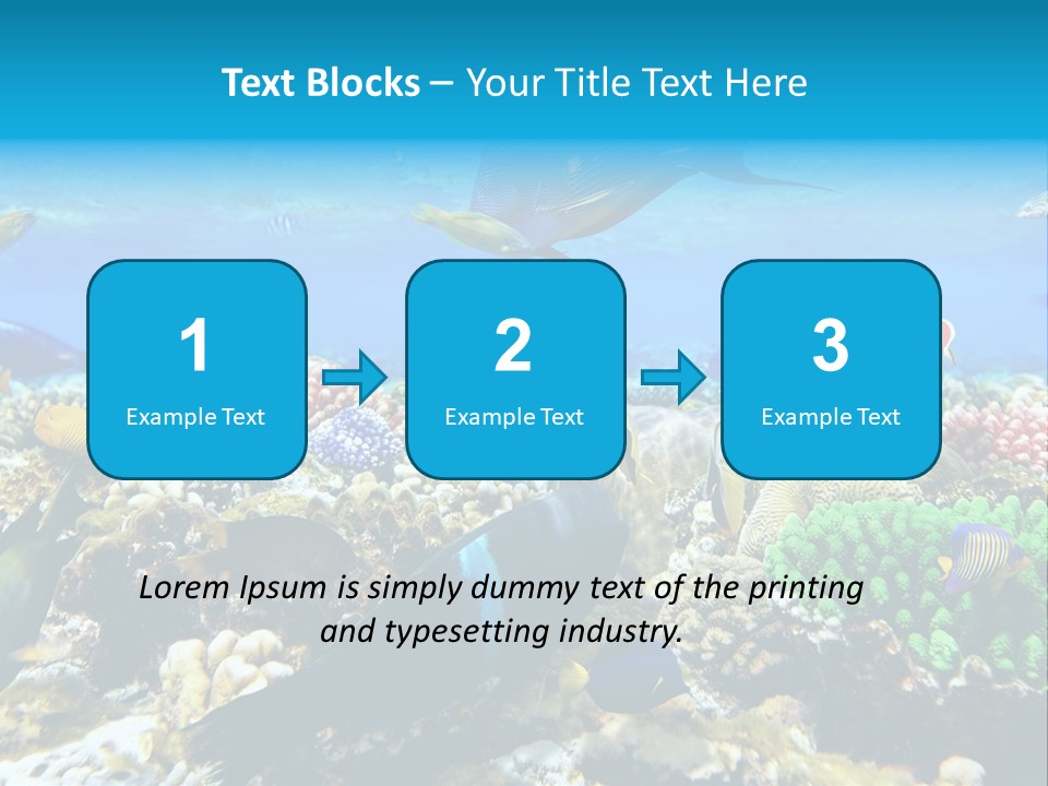 Sharm Live Close Up PowerPoint Template
