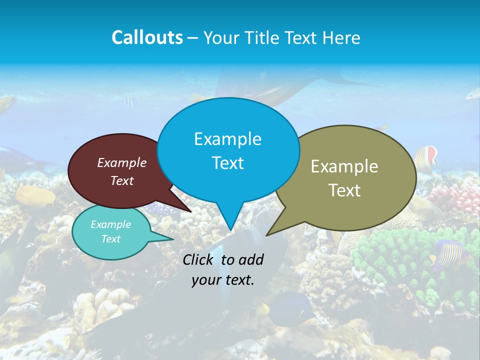 Sharm Live Close Up PowerPoint Template