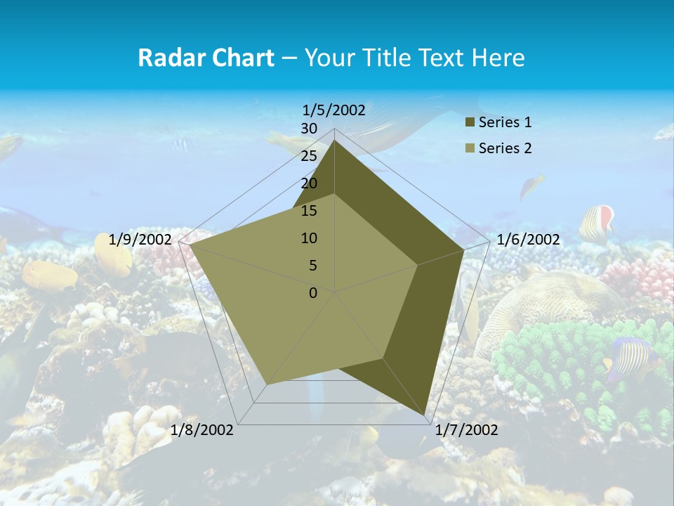 Sharm Live Close Up PowerPoint Template