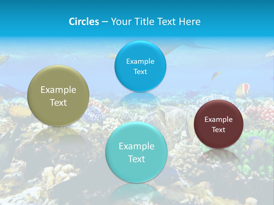 Sharm Live Close Up PowerPoint Template