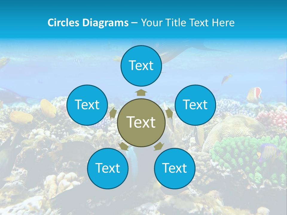 Sharm Live Close Up PowerPoint Template