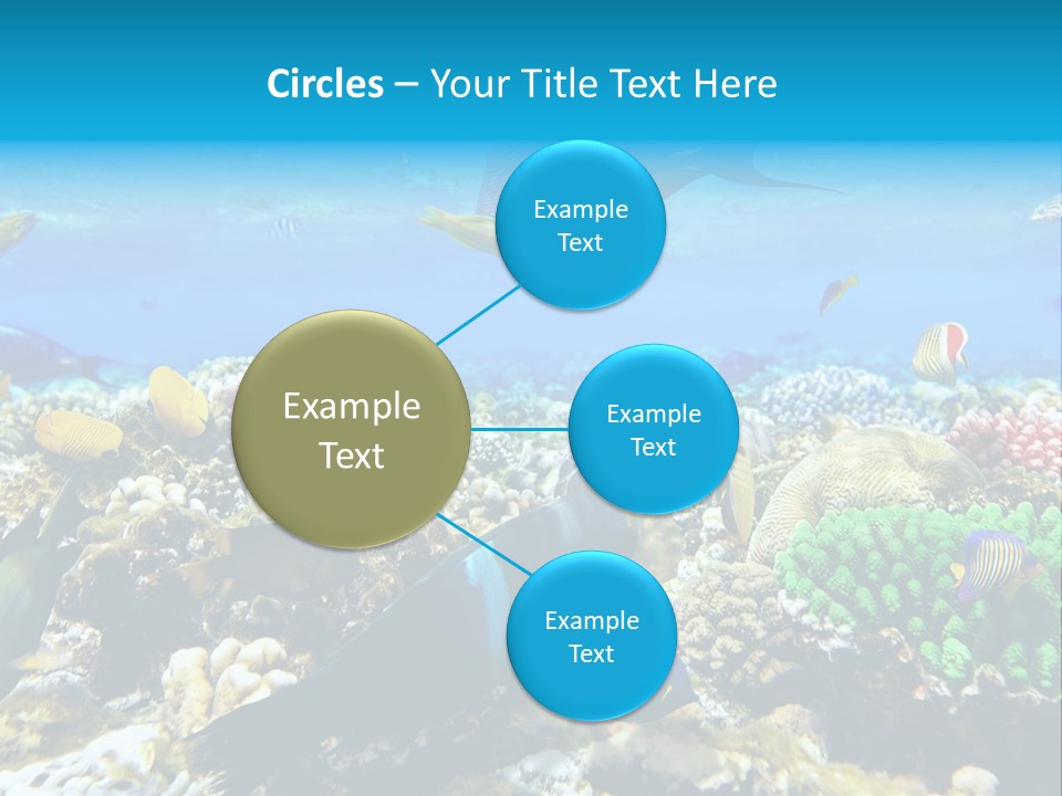 Sharm Live Close Up PowerPoint Template