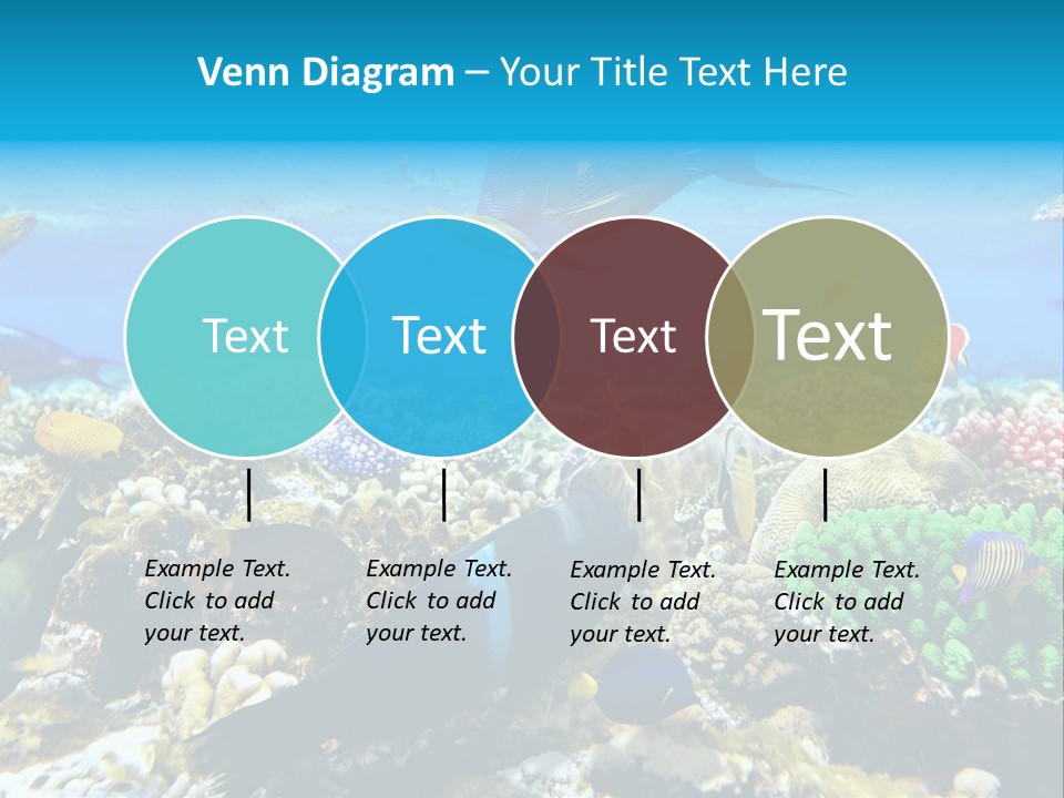 Sharm Live Close Up PowerPoint Template