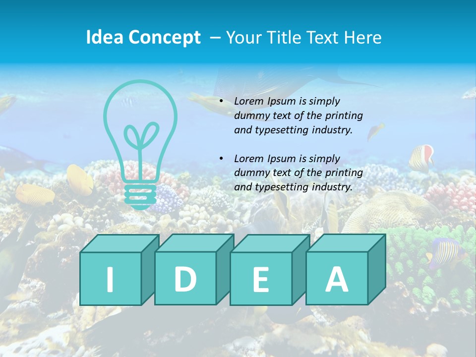 Sharm Live Close Up PowerPoint Template