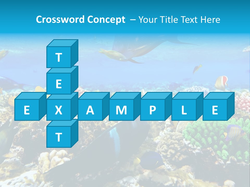 Sharm Live Close Up PowerPoint Template