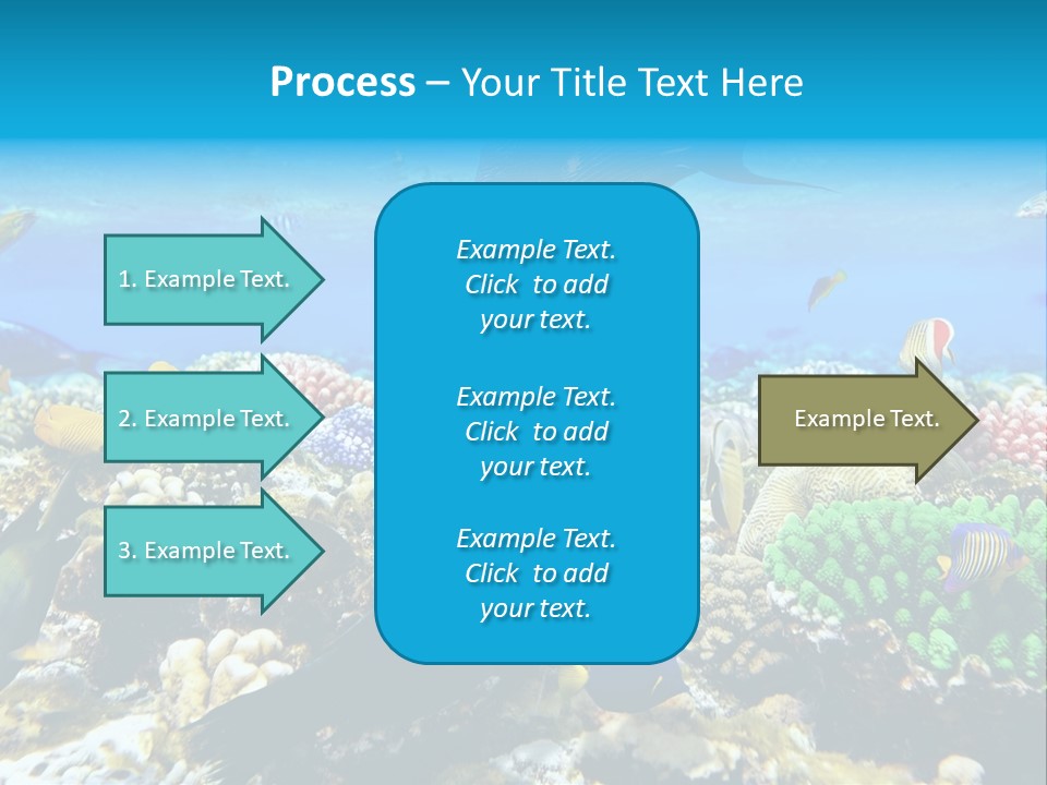 Sharm Live Close Up PowerPoint Template