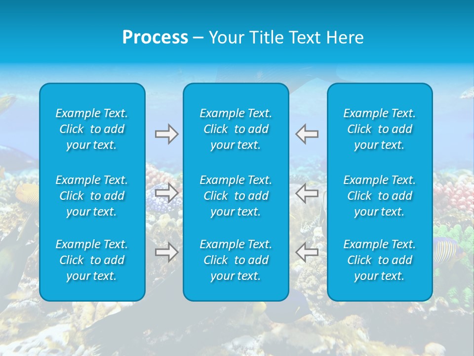 Sharm Live Close Up PowerPoint Template