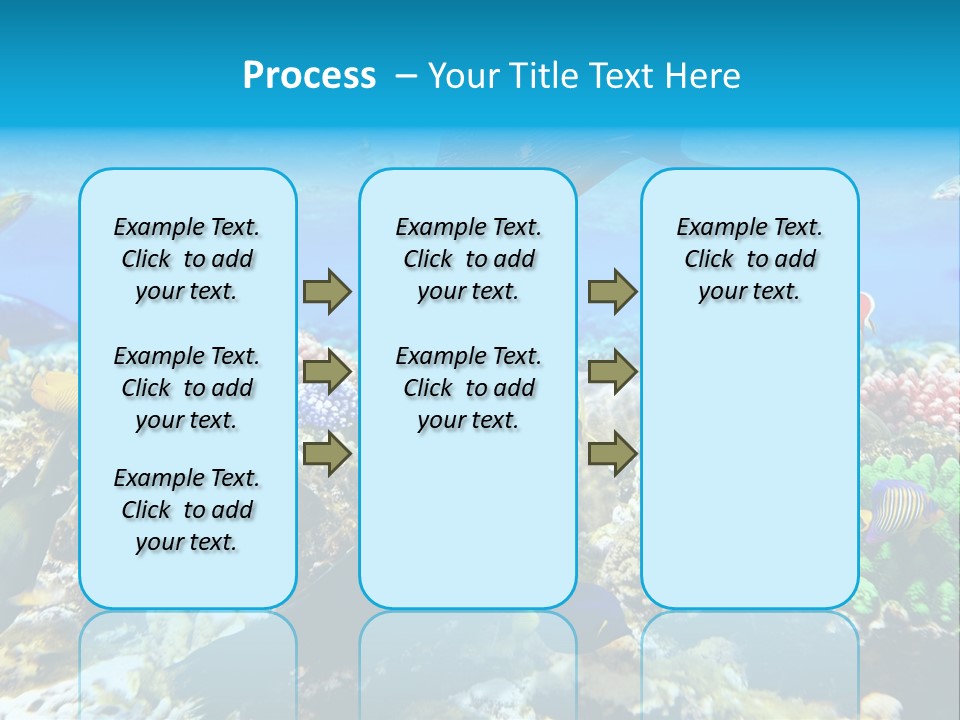 Sharm Live Close Up PowerPoint Template