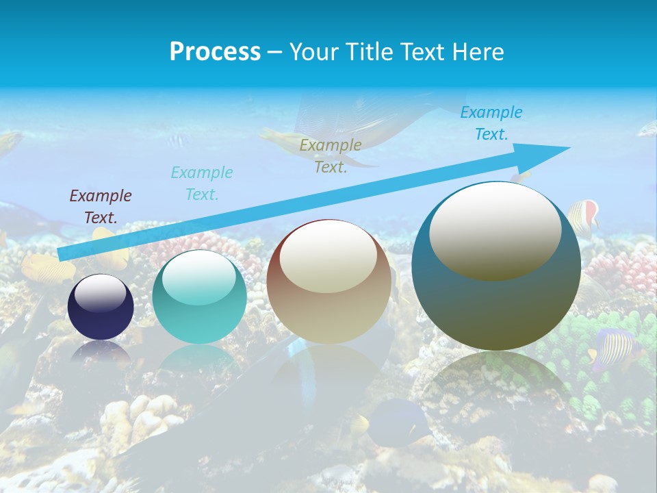 Sharm Live Close Up PowerPoint Template