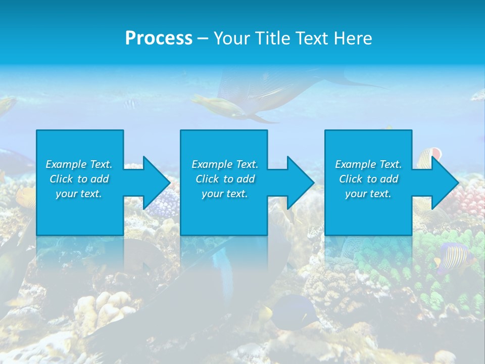 Sharm Live Close Up PowerPoint Template