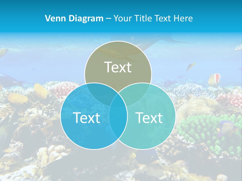 Sharm Live Close Up PowerPoint Template